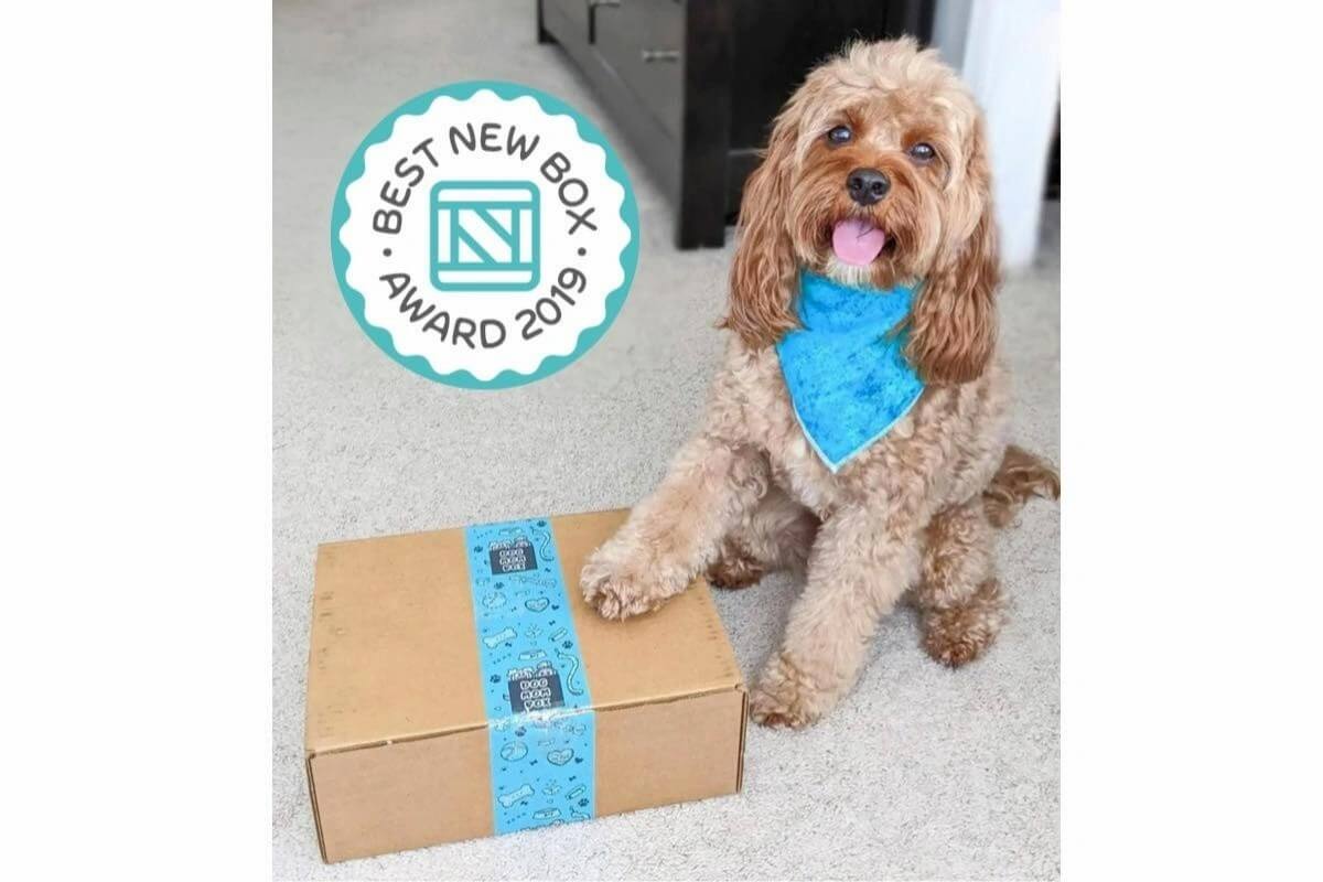 Dog Mom Box Dog Mom Box