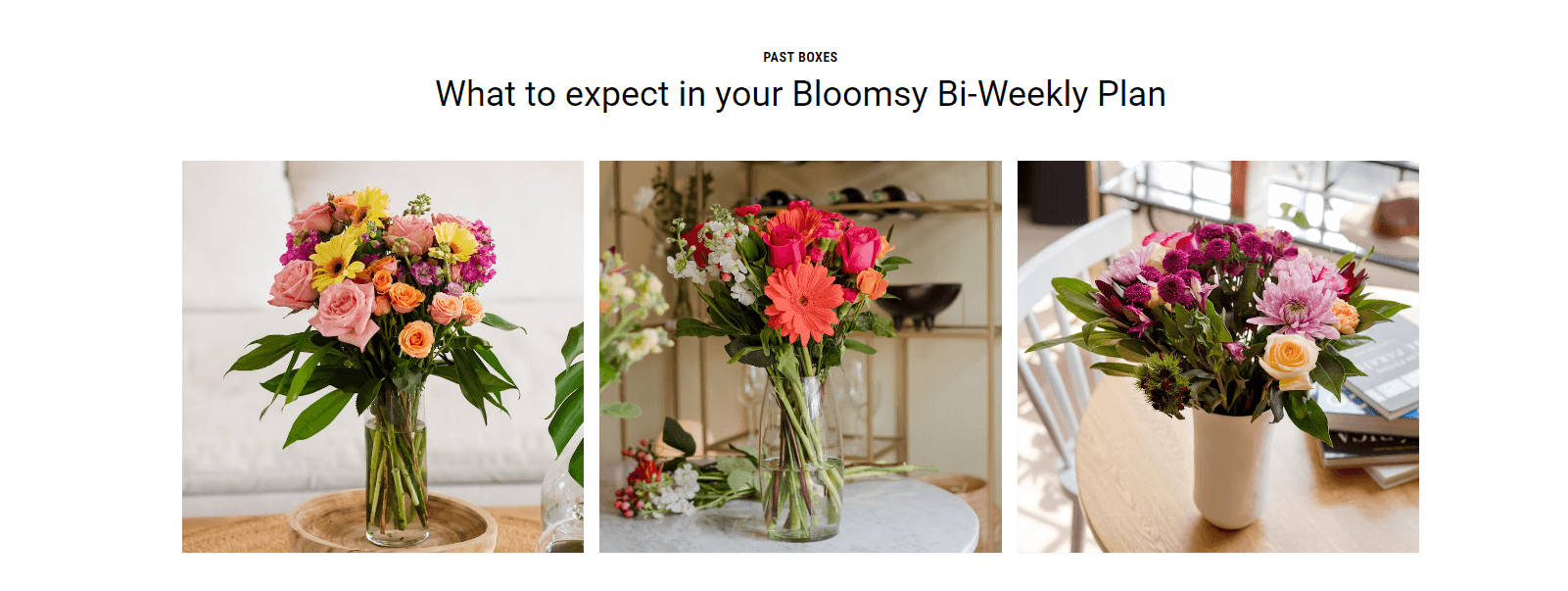 Bloomsy Bi-Weekly