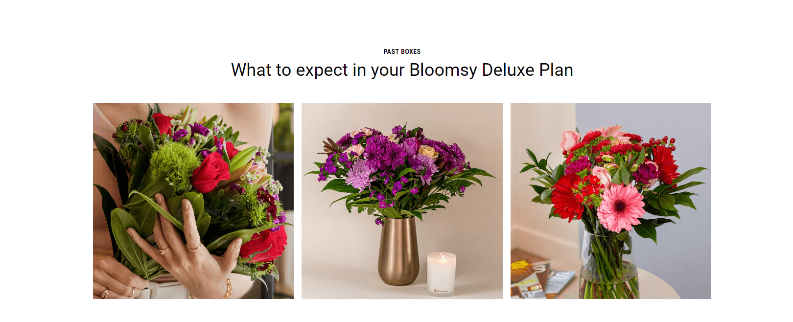 Bloomsy Deluxe