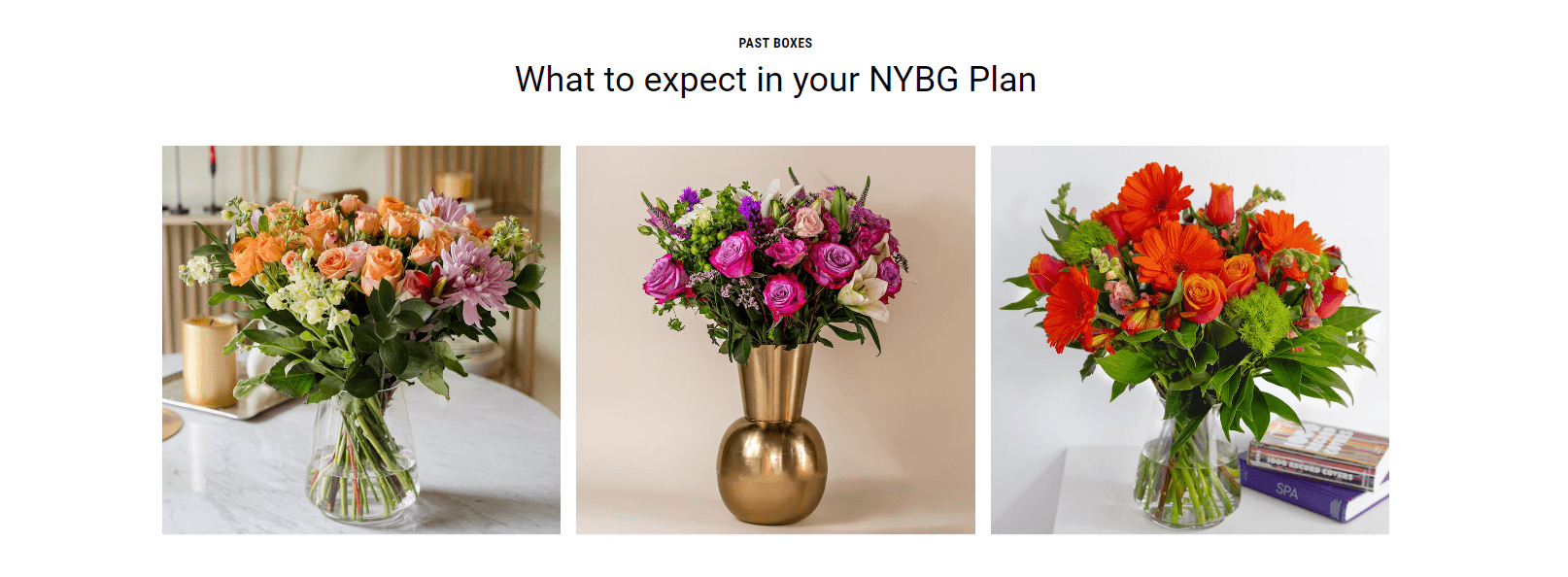 Exclusive BloomsyBox Plans