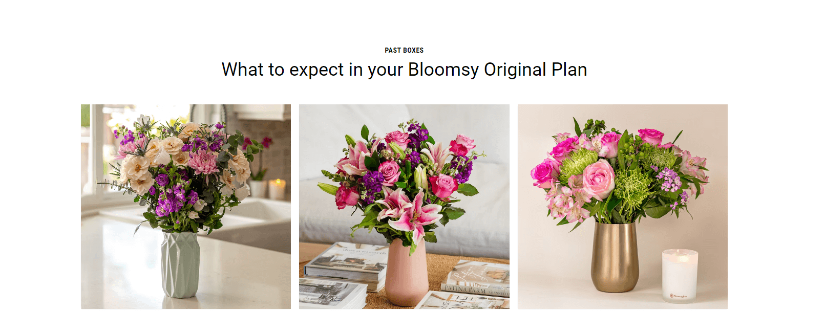 Monthly BloomsyBox Plans