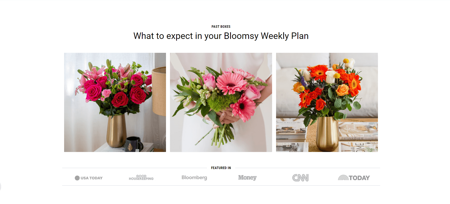 Weekly BloomsyBox Plans